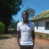 Kambani ngombe