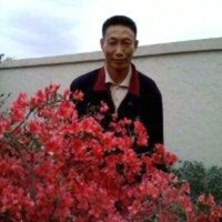 彭立新