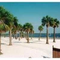 Kay Chapman