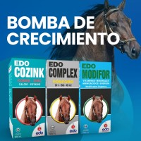 Gestión Comercial Digital