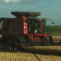Frank Stevens