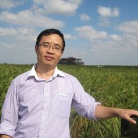 Mancheng(Kenny) Li