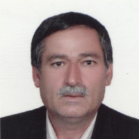 Hosein Zare