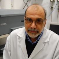 Lanfranco Conte