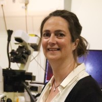 Marileen Dogterom