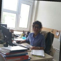 Aysun Dinçel