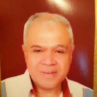 Hany Mahmoud Abdelreheem