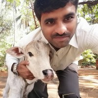 Harikumar Babu
