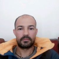 Luca Bertelli