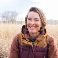Liz Hardwick