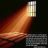 Ali Haider