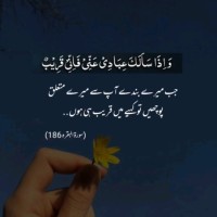 Zeeshan J