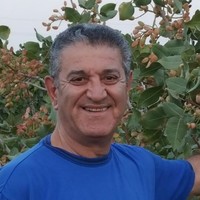 shahram movahedi