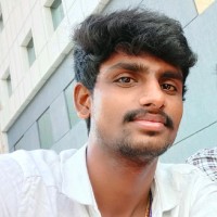 Sathish Kumar P
