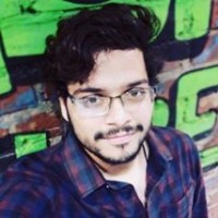HRITHIK PALIWAL