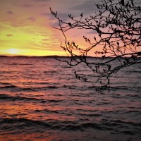 Outi Salovaara
