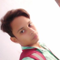 SK ARIF BEG