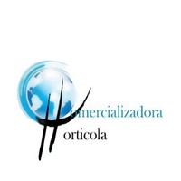 Asistente de Luis Mario Covarrubias