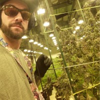 Michael Guarino