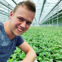 Thijs Dierkes