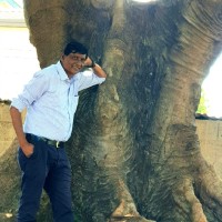 Thalari Christmas Rao