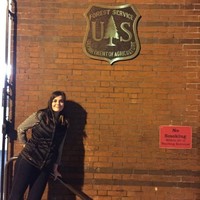 Lindsay Lights Forintos