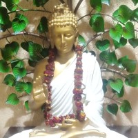 Basudev Rajak