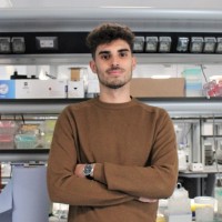 Davide Bulgheresi
