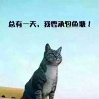 温议伟