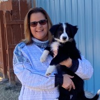 Traci Dreiling