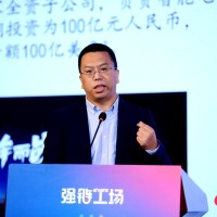 wei wu