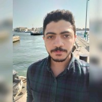Mahmoud Elnemr