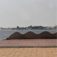 Marwa Yassin