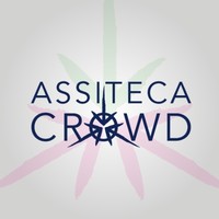 Assiteca Crowd