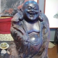 袁立新