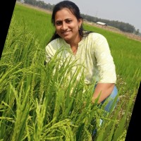 Sriram Madhuri