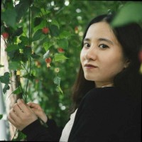 Linh Dinh Dieu