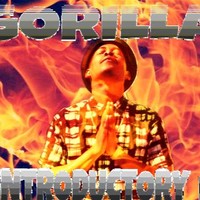 Gorillasa1 Ape World
