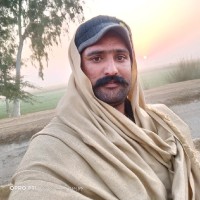 Ch Kashif Arbab Buttar