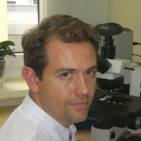 Witold Rezner