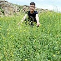 陈玉飞