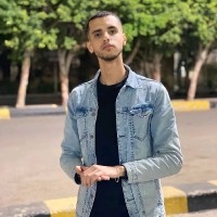 Baher youssef