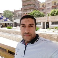 Ayman Fitouh