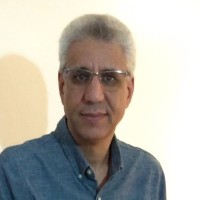 Ahmed A. A. Esmin, Ph.D.