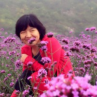 Junchen Li