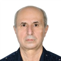 Ali Suliman