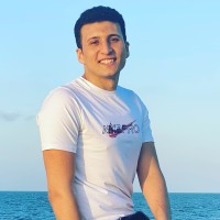 Ali Elhendy