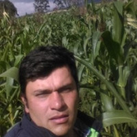 Juan Manuel GONZALEZ VEGA