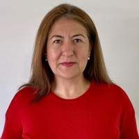 Ana Perez Collada