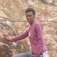 Firesew Hailu